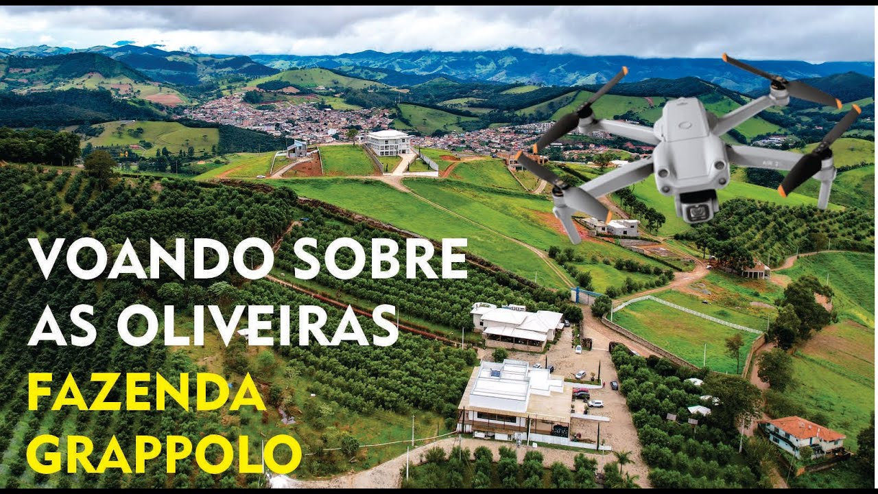 VOANDO SOBRE AS OLIVEIRAS – DJI AIR 2S