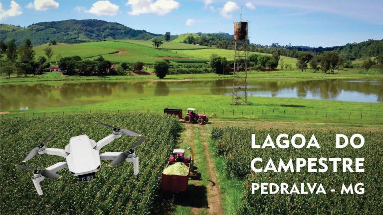 Lagoa do Campestre – Milharal